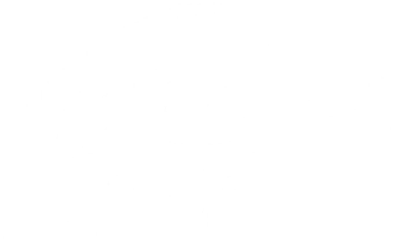 Flounder Fish