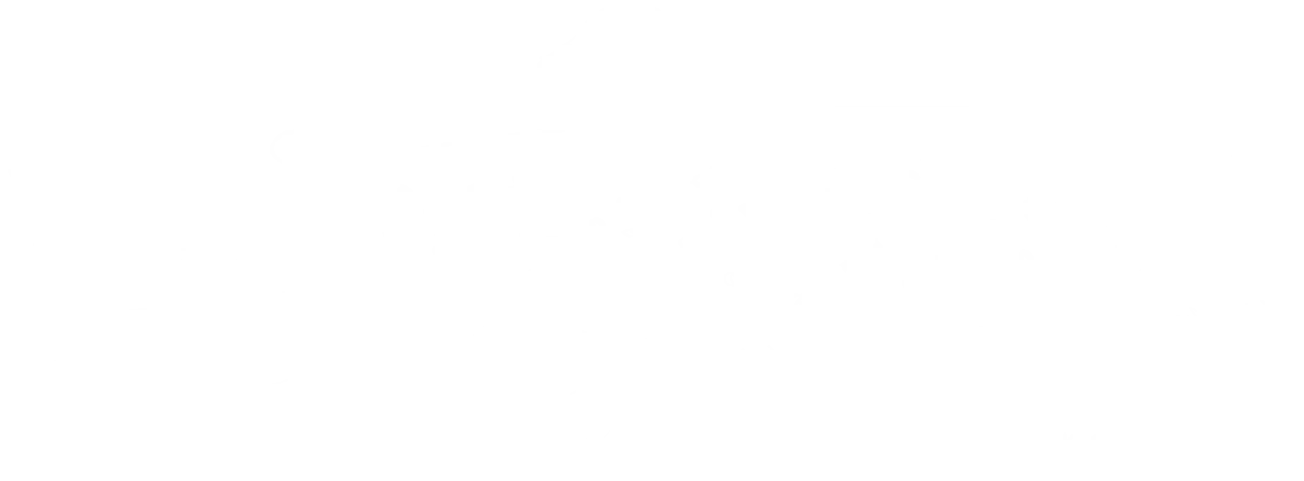 Sea Trout